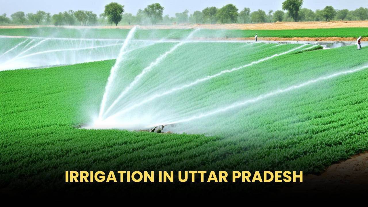 Irrigation in Uttar Pradesh